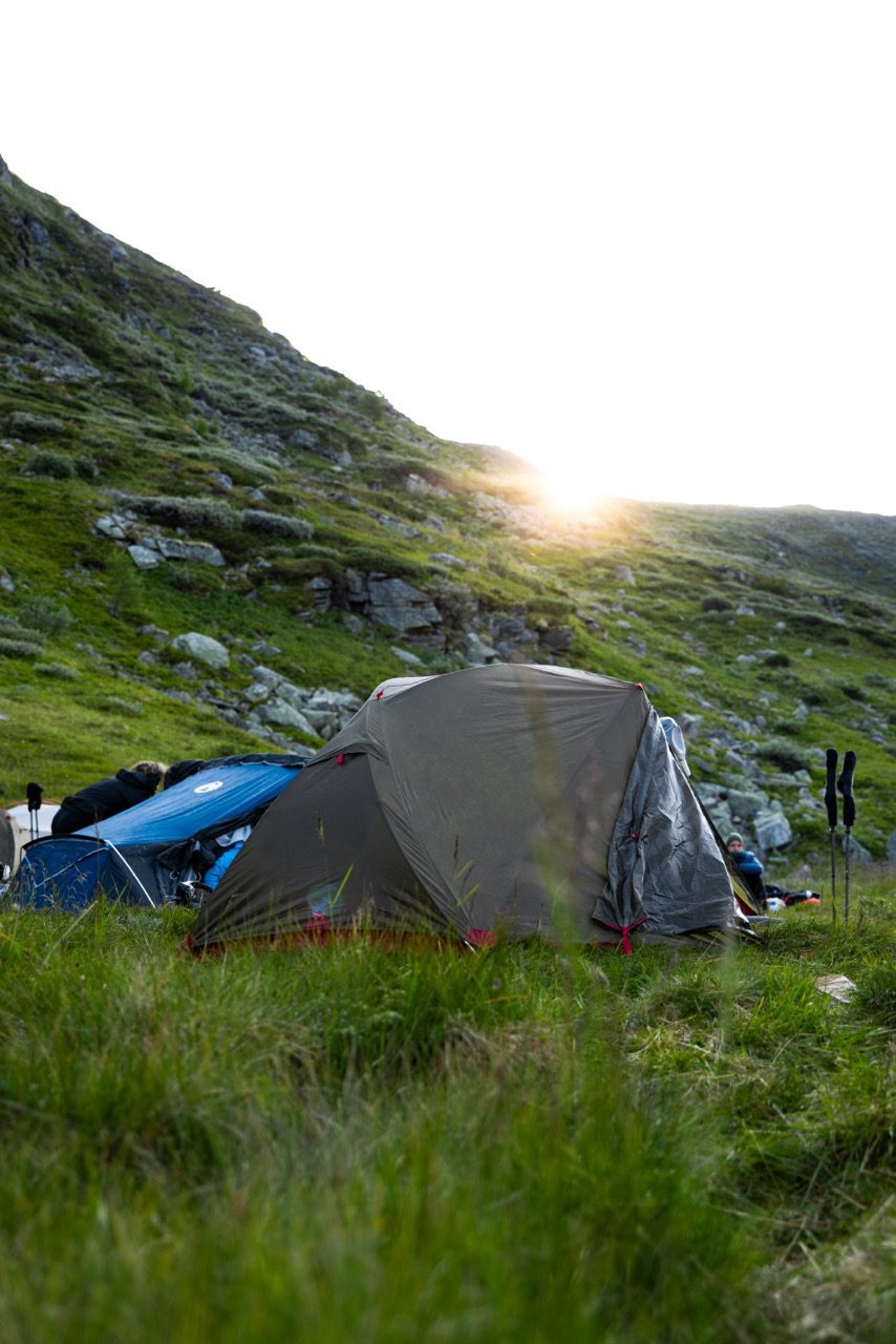 Wildkamperen in Noorwegen