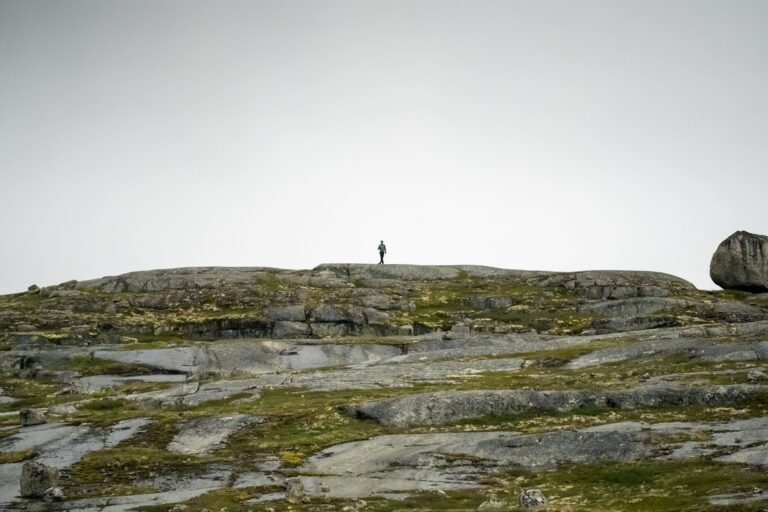 Wildkamperen in Noorwegen