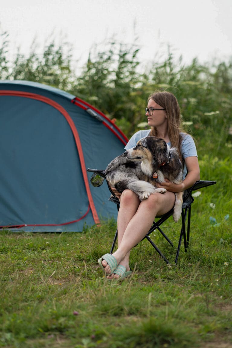 camping avec un chien