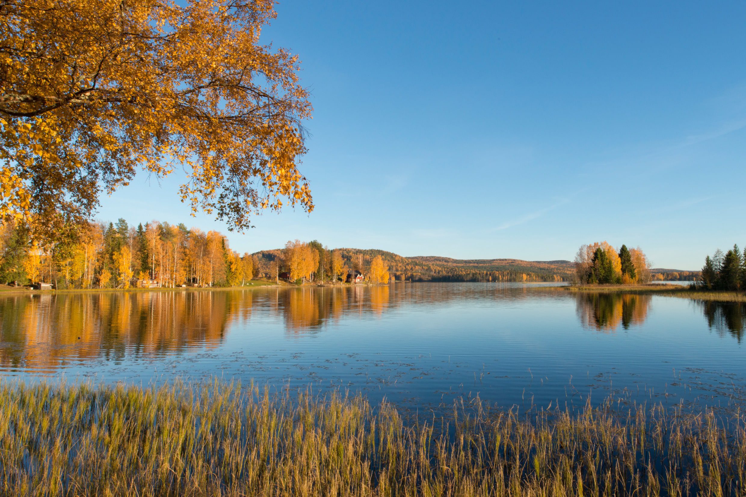 Photo of a Swedish landscape from Outpost North in Sweden.