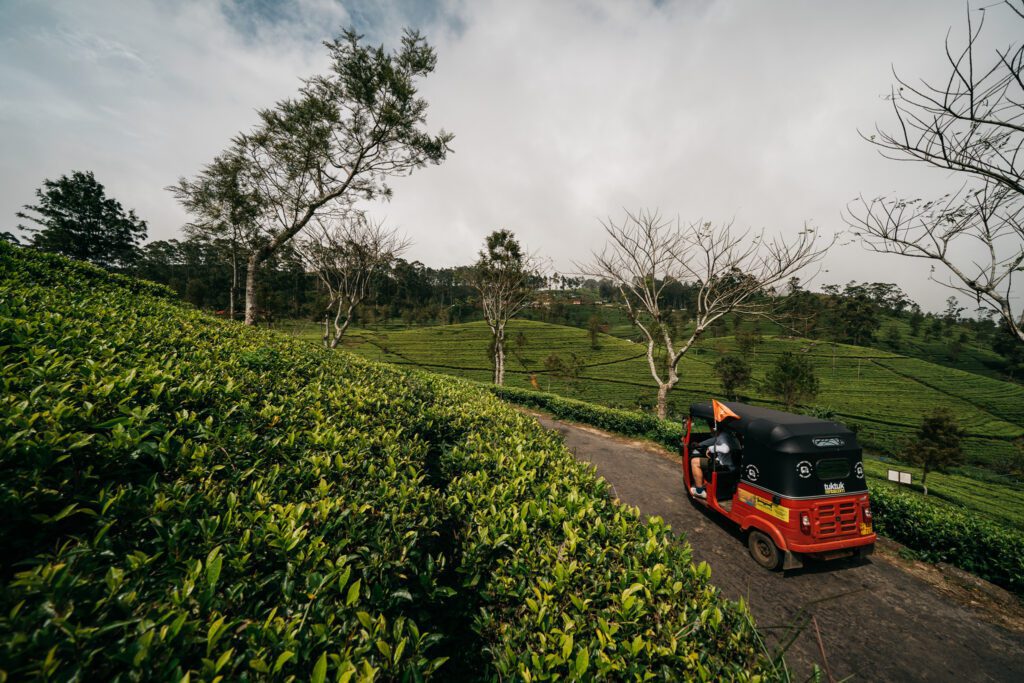 tuktuk sri lanka, in het groen rijden met tuktuk