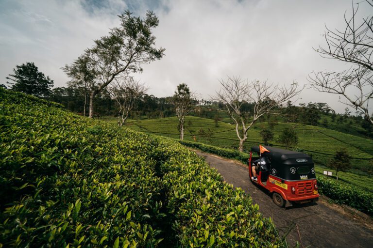 tuktuk sri lanka, in het groen rijden met tuktuk
