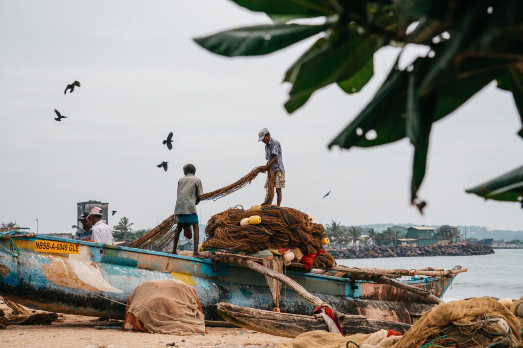 haven sri lanka, zee sri lanka, boot sri lanka