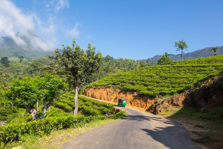 kandy naar nuwara eliya, , groen, tuktuk sri lanka