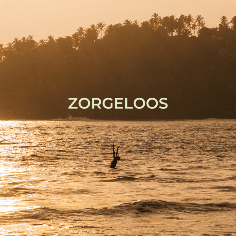 zee, sri lanka, in het water, zorgeloos, begeleid, gids