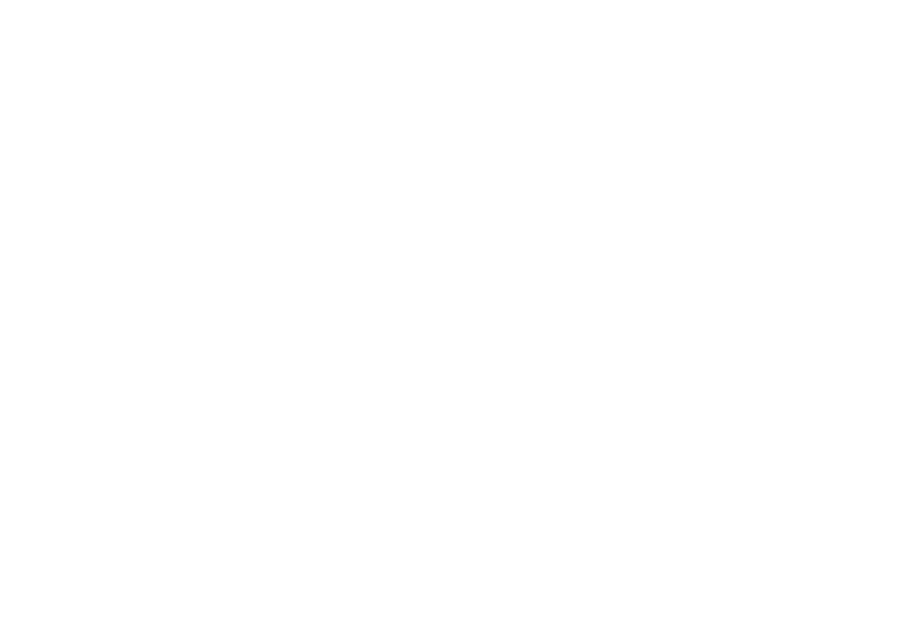Surf Tribe logo