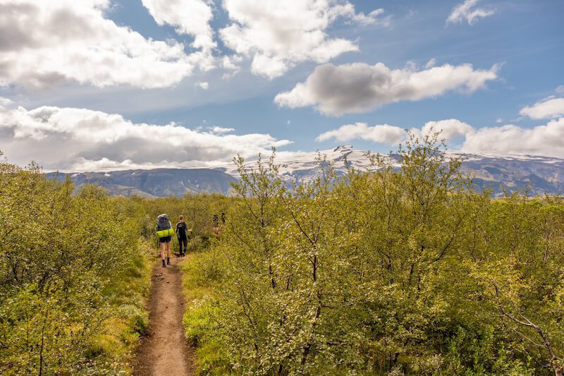 The Iceland Trail - Þórsmörk Husadalur