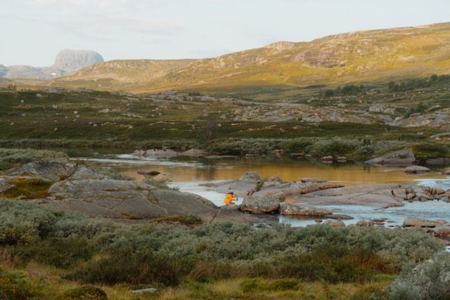 Hardangervidda Norwegen