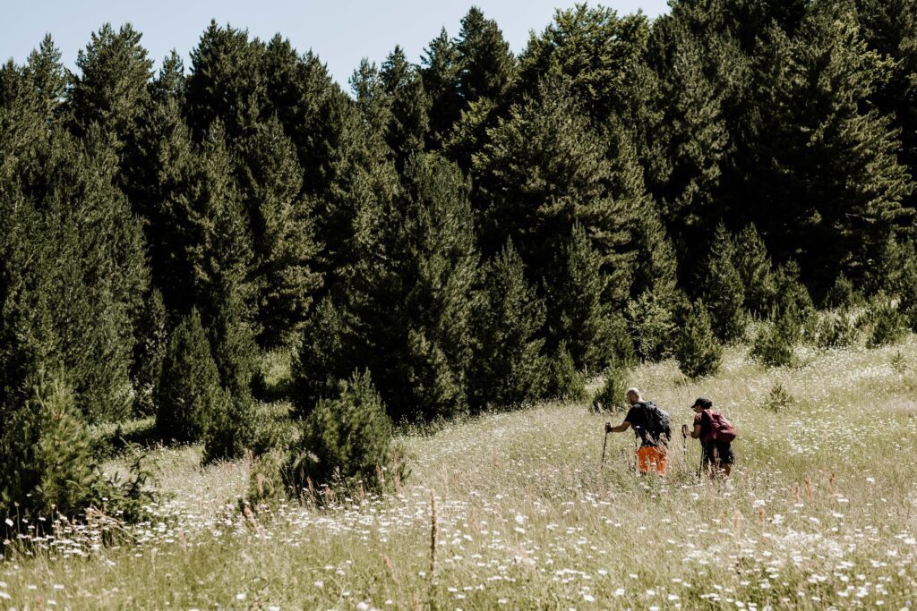 Deux marcheur en direction d'une forêt en Albanie - Balkan Trail