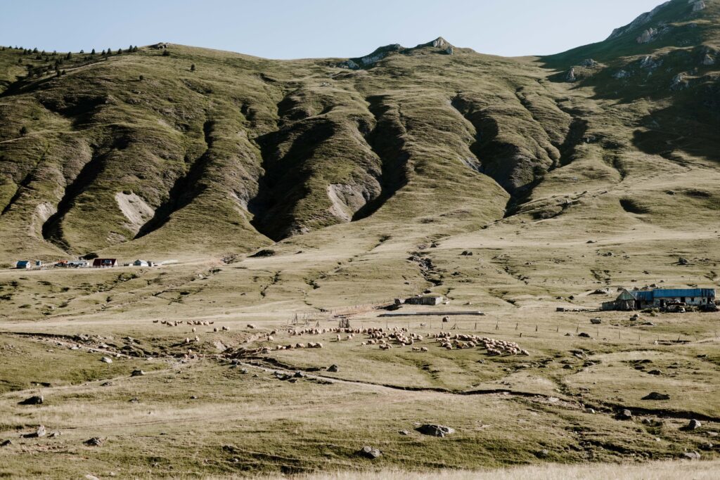 Mollen op de bergen van de Balkan tijdens de Balkan Trail.
