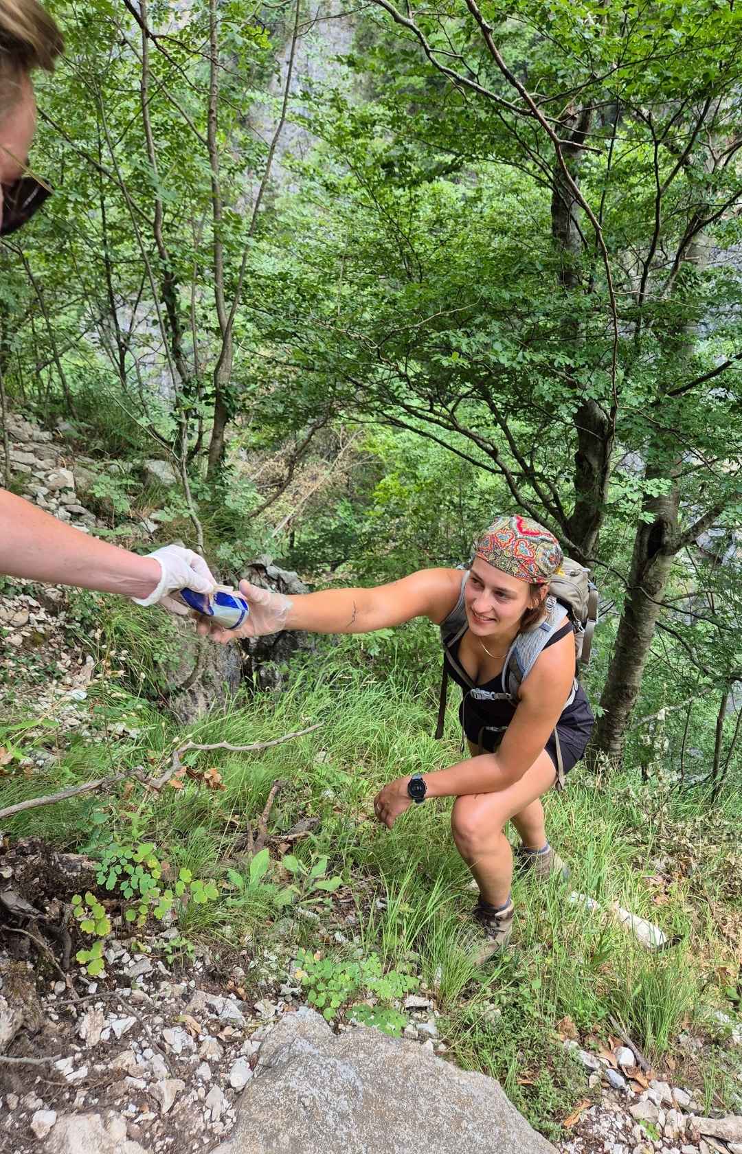 The Balkan Trail Butterfly Foundation