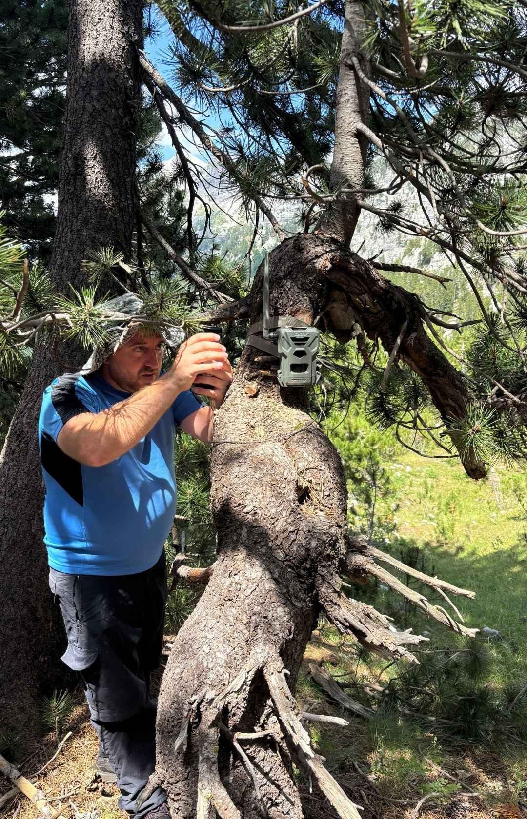 The Balkan Trail Butterfly Foundation