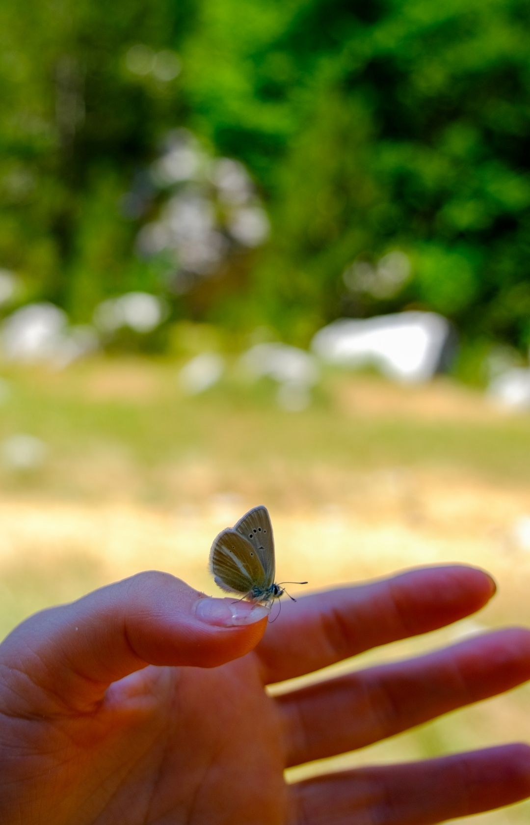 Randonnée Balkan Trail hike hiken trek trekken trek Albania Montenegro Kosovo