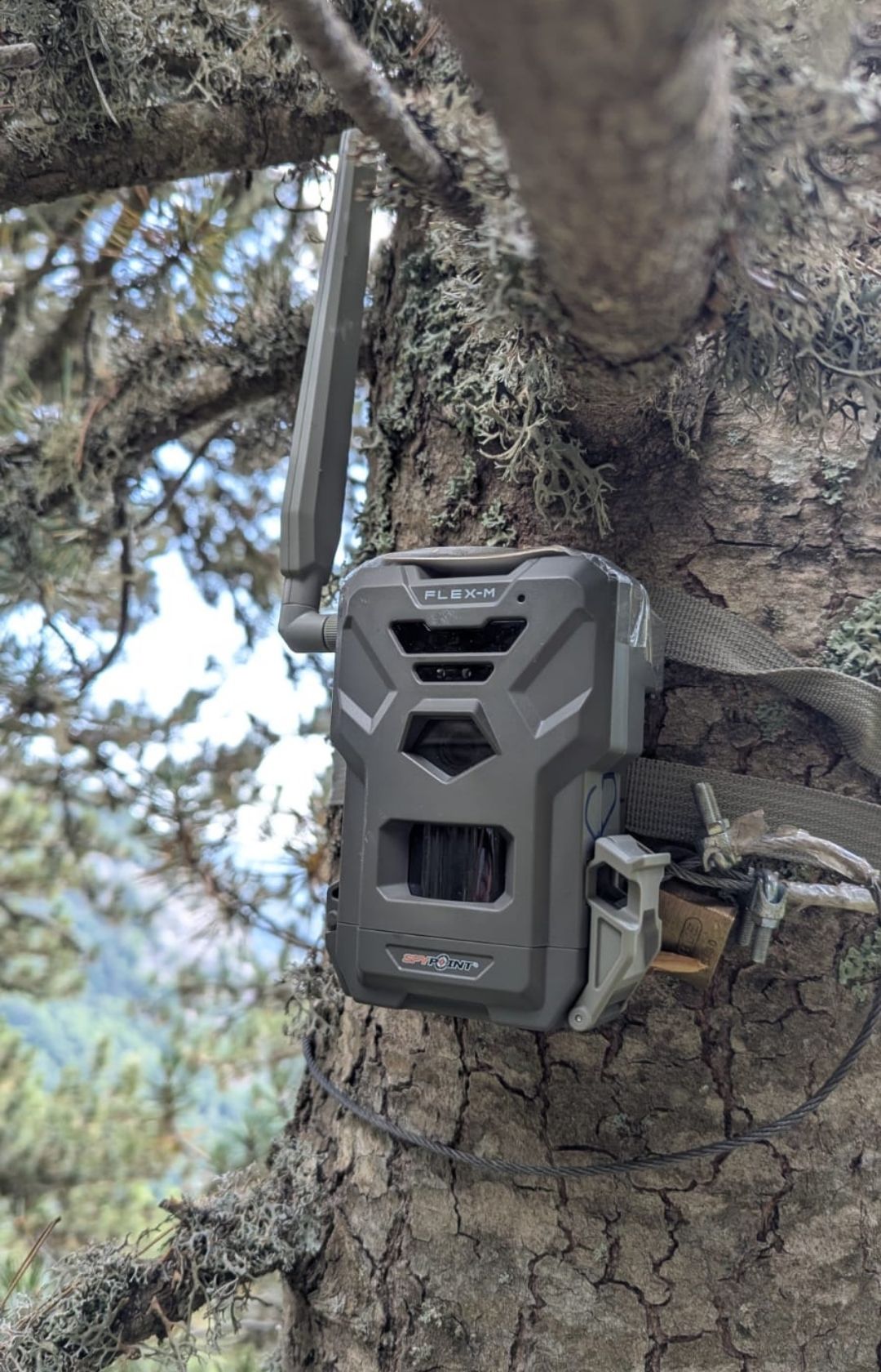 The Balkan Trail Butterfly Foundation