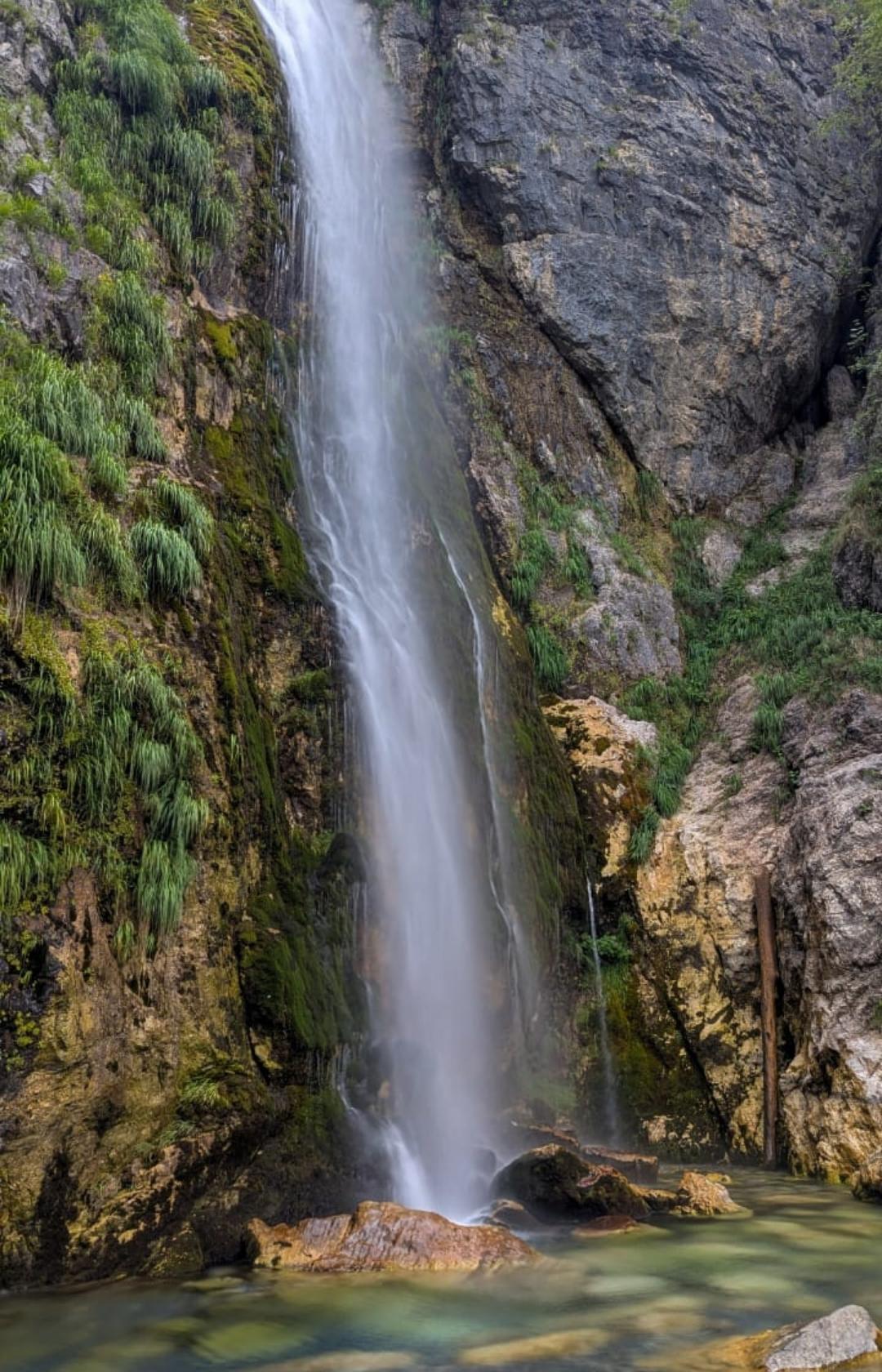 The Balkan Trail Butterfly Foundation