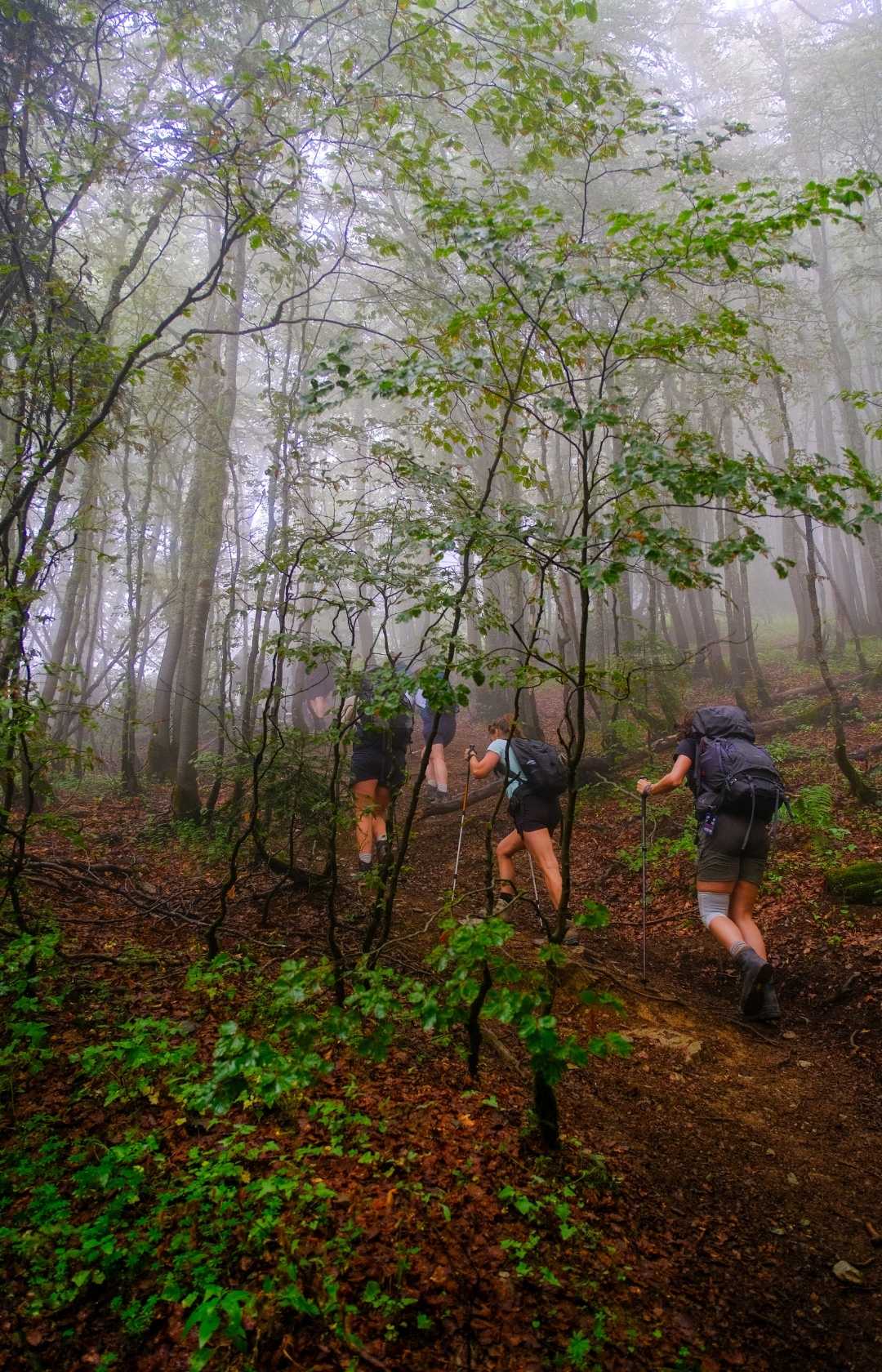 Randonnée Balkan Trail hike hiken trek trekken trek Albania Montenegro Kosovo
