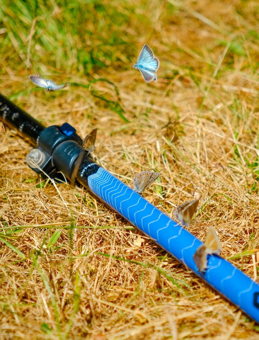 Peaks of the Balkans: The Balkan Trail