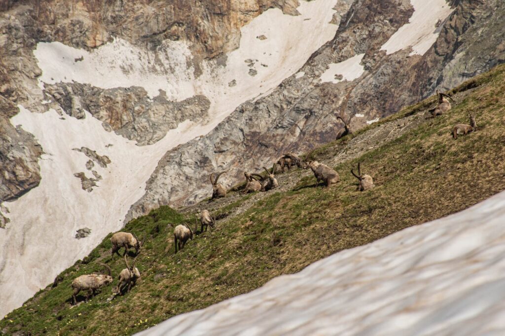 Mont Blanc Round Trip Hike