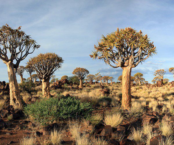 Landschaft Namibia mit blauem Himmel, Landschaft von Namibia mit blauem Himmel