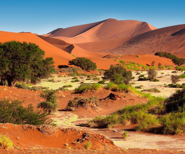 Wüste Namibia, Desert von Namibia