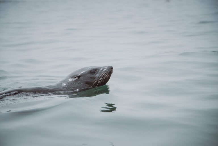 Kayak - Walvis Bay - Namibia Nomads