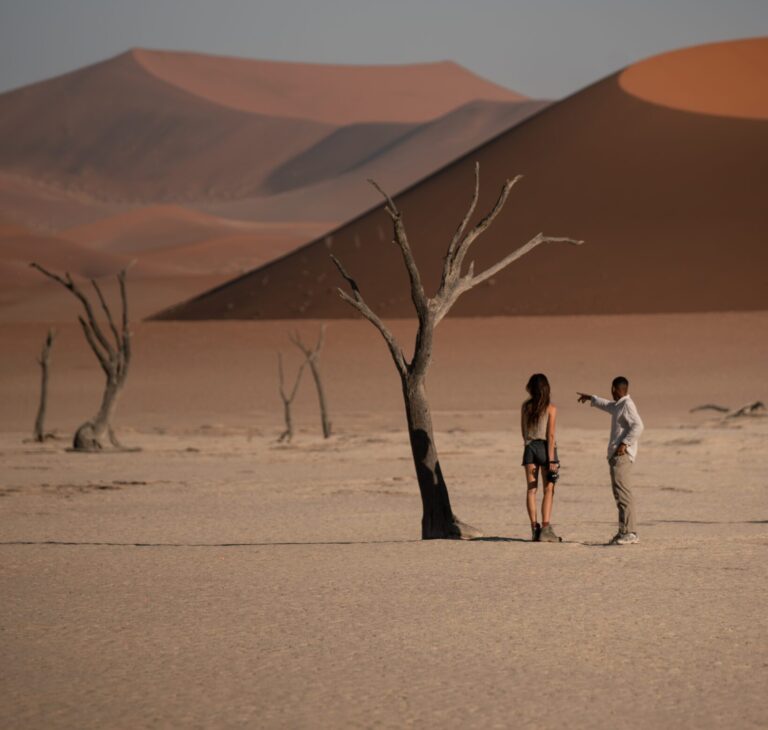 Deadvlei and Namibia, the dead vlei, the dead end