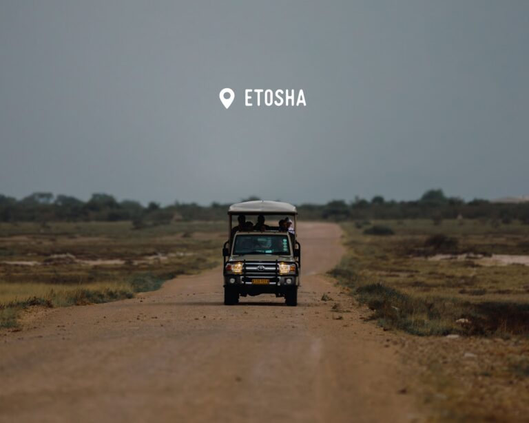 Night game drive - Etosha - Namibia Nomads