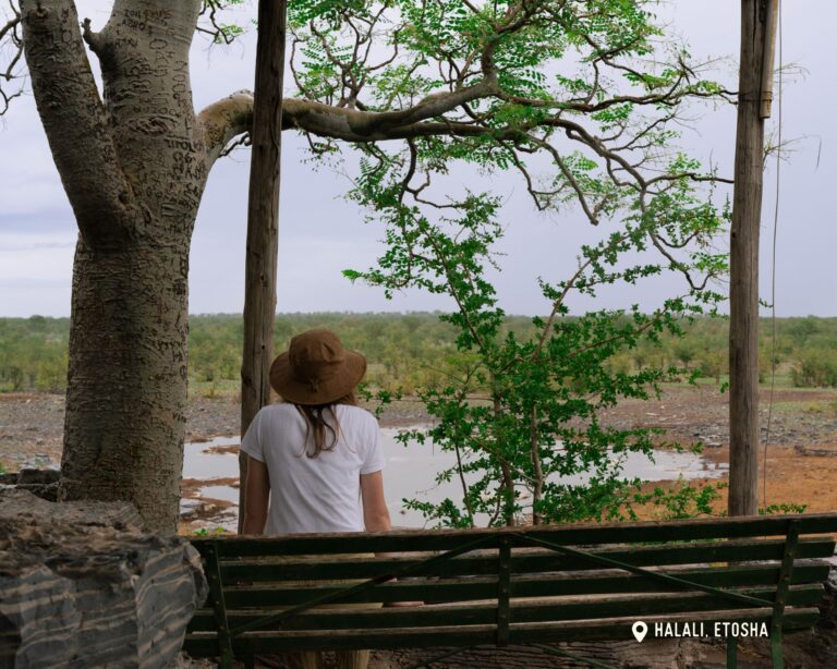 Halali - Etosha National Park - Lodges - Namibia Nomads