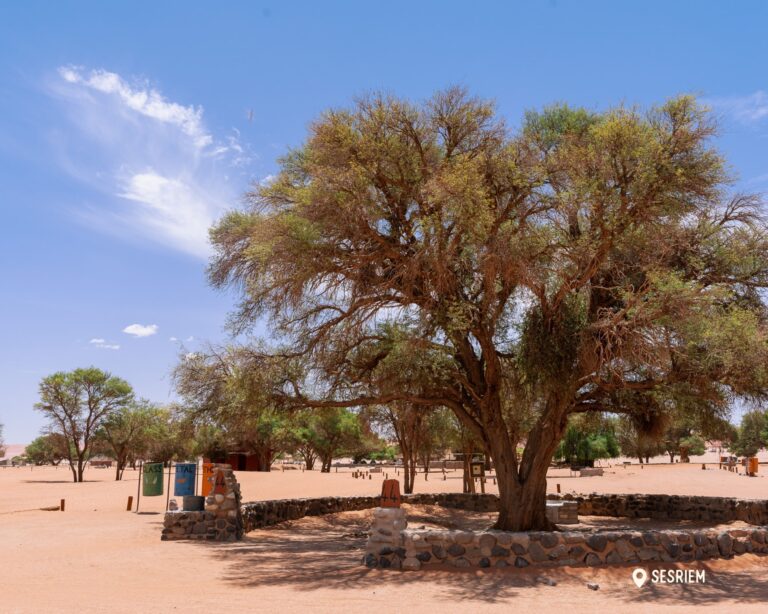 Camping - Namibia - Namibia Nomads