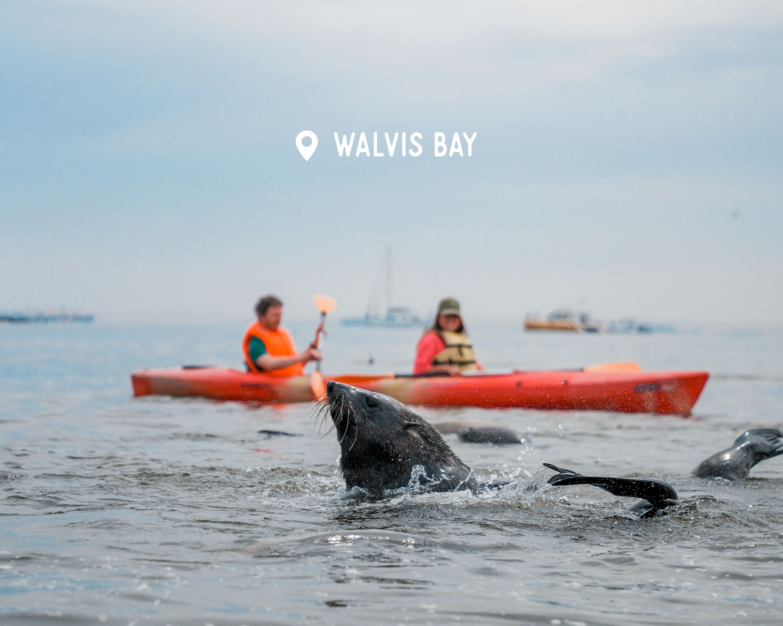 Kayak - Walvis Bay - Namibia Nomads