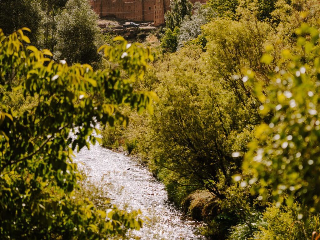 Rivière qui traverse l'Atlas au Maroc, vallée verte