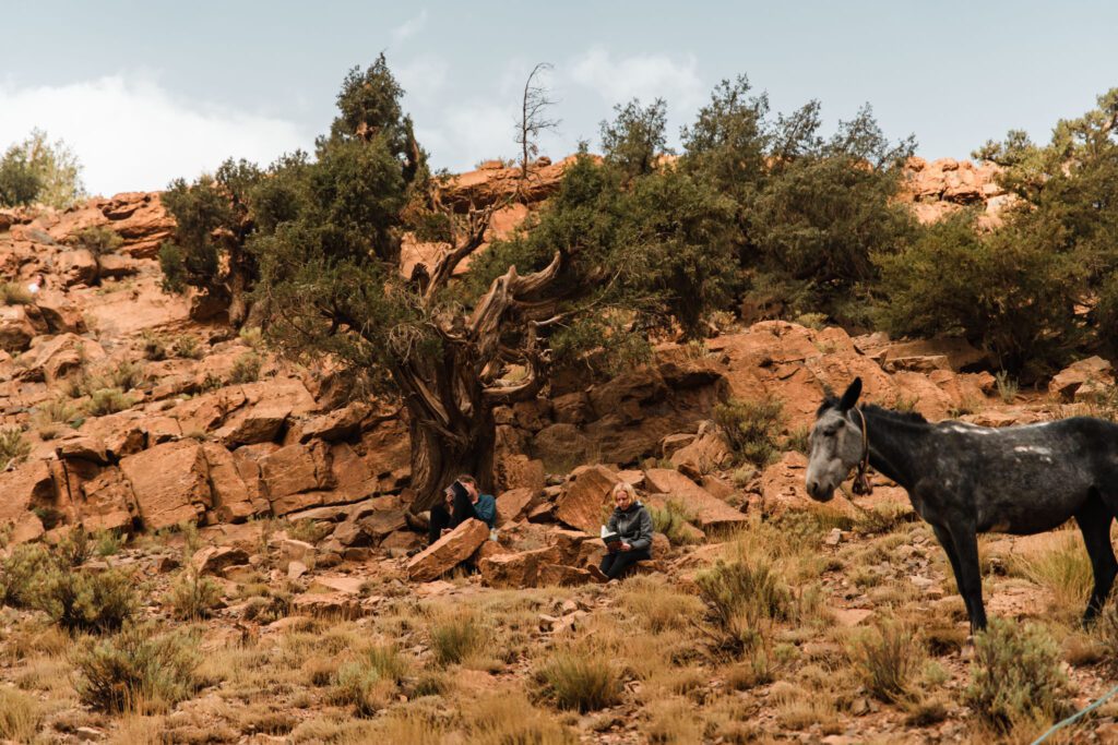 Mule transport de bagage au maroc
