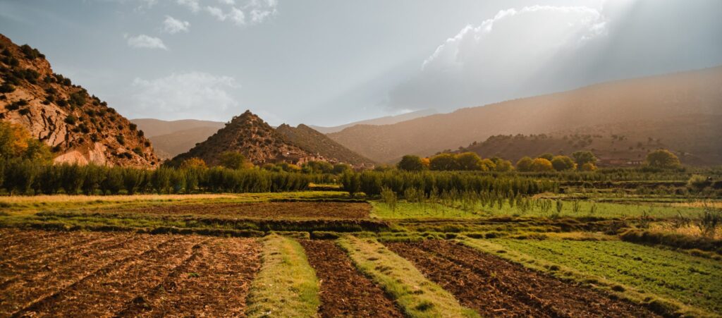 Paysage lors d'une randonnée au Maroc dans la vallée heureuse dans l'Atlas