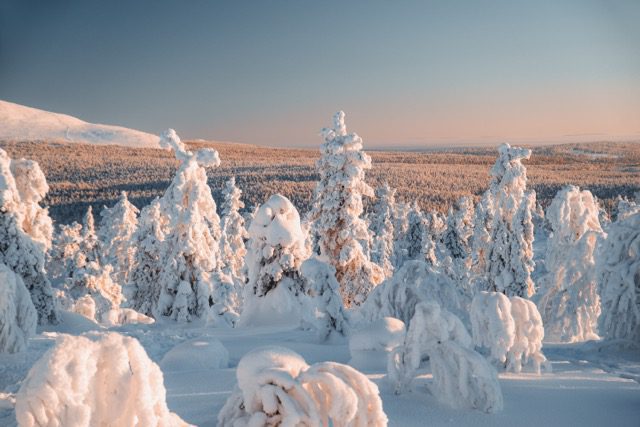 Lapland Travel