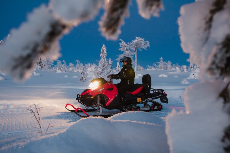 Night snowmobile tour