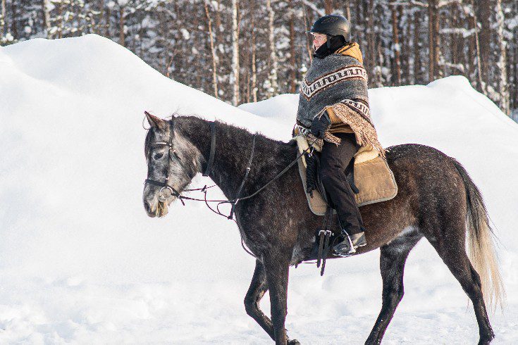 La Laponie à cheval