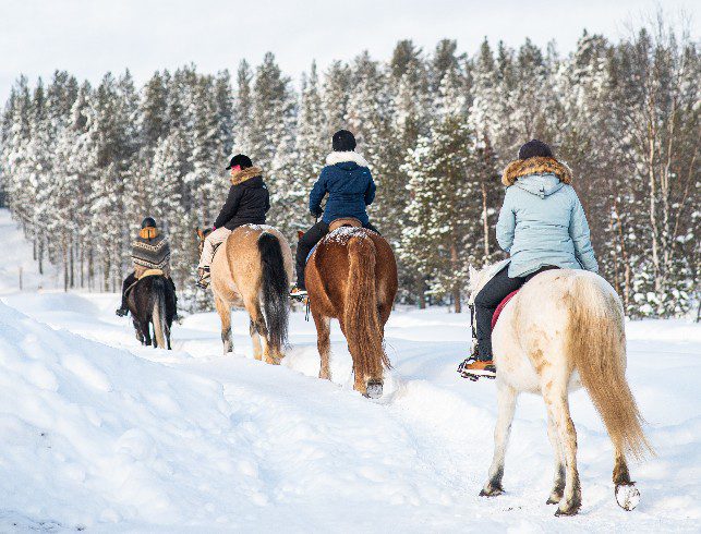 Reiten in Lappland