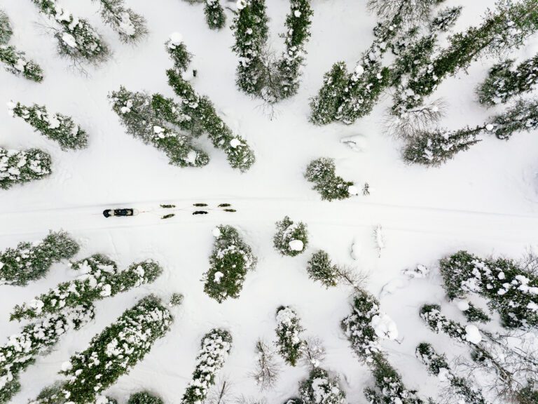 Lapland with the family