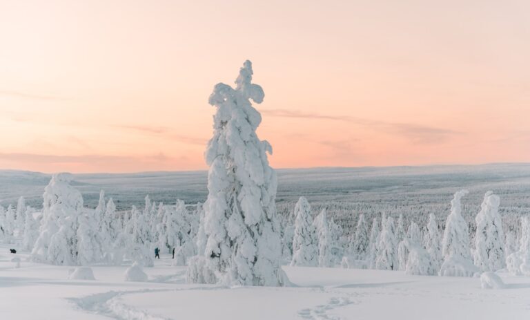 The area of Finnish Lapland