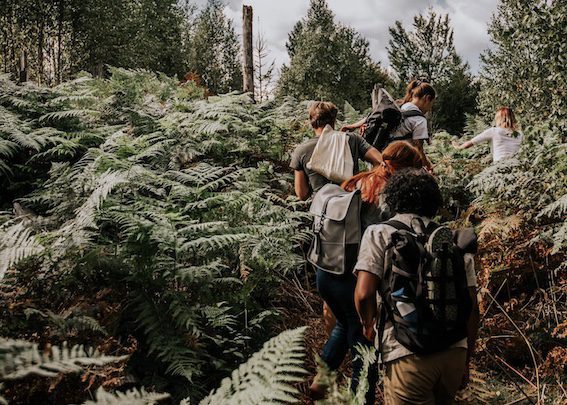 hike nordic woods glamping