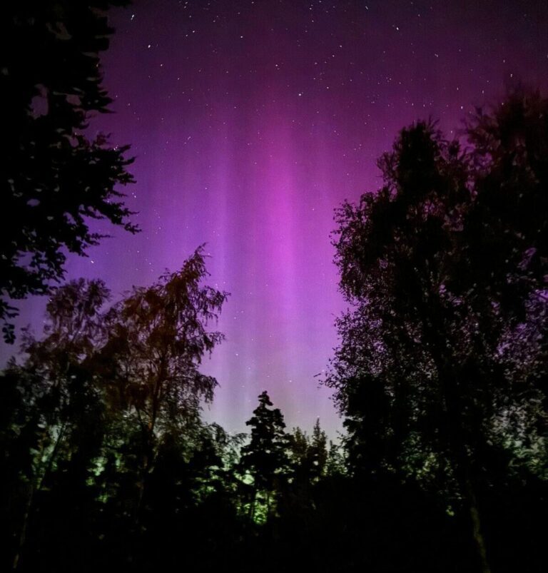 Noorderlicht nordic woods glamping