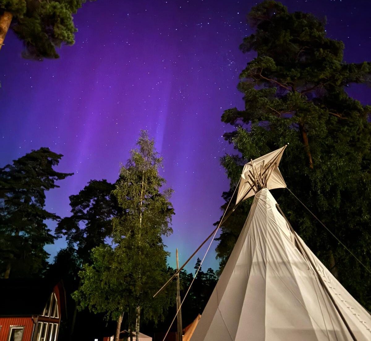 Noorderlicht nordic woods glamping