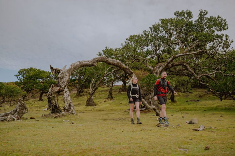 couple de randonneurs marchant dans une forêt sur le trek à madère Ein Paar wandert in Madeira