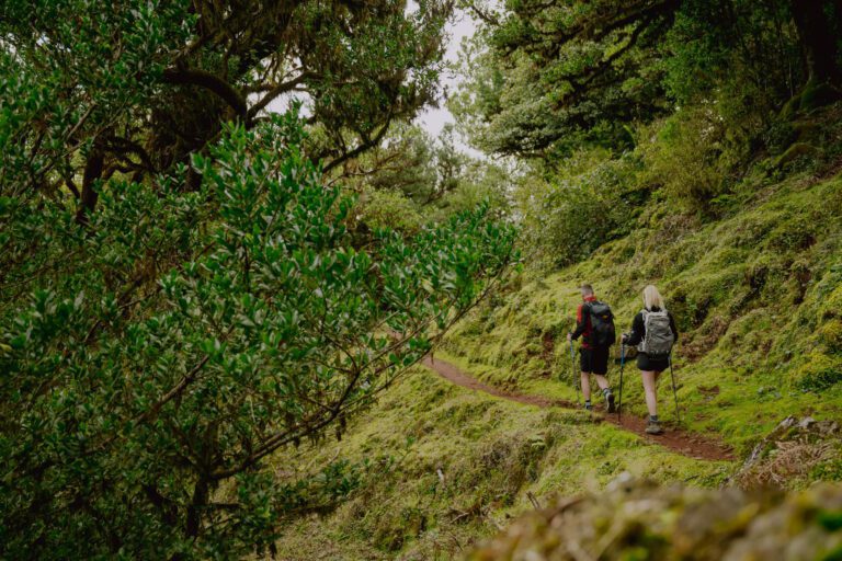 randonner à Madère - Wandern in Madeira - hiken op Madeira - hike madeira