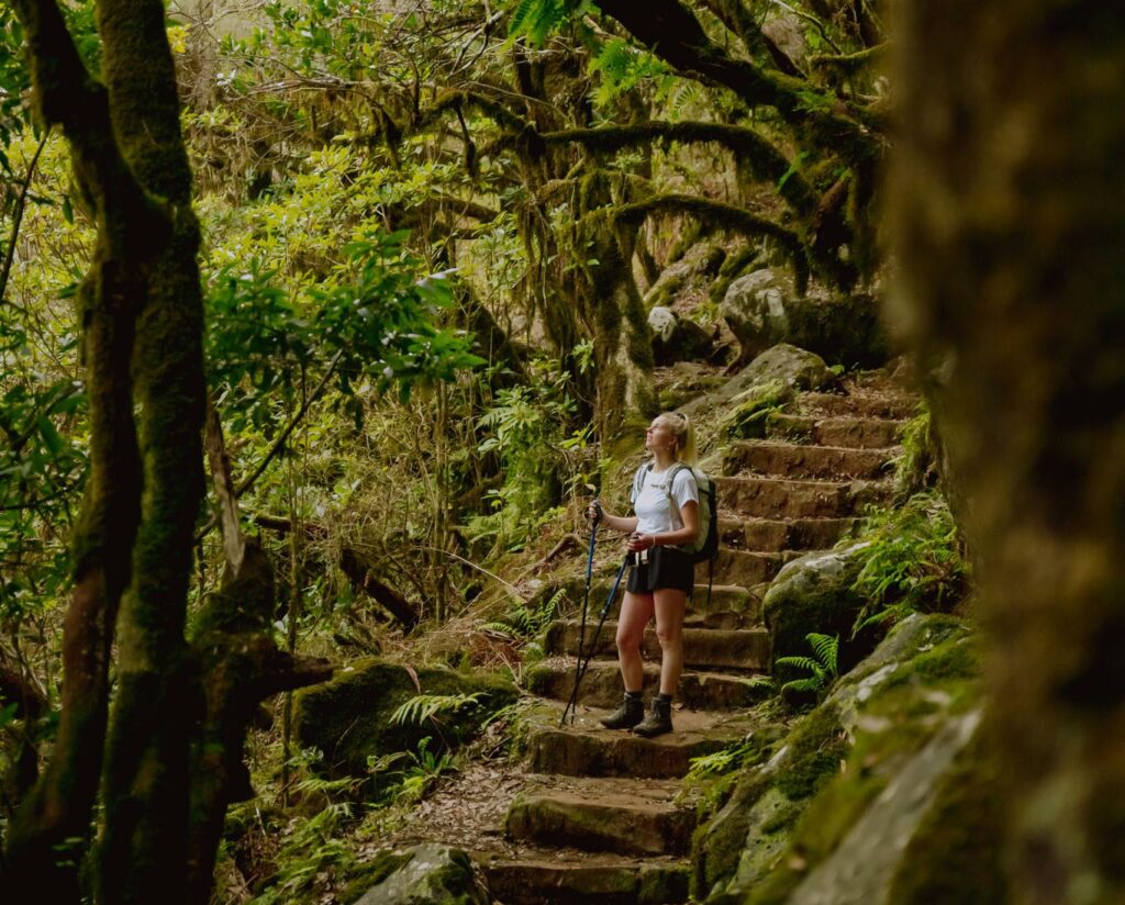 Walking in Madeira - Hiking in Madeira - Marching in Madeira - Wandering in Madeira