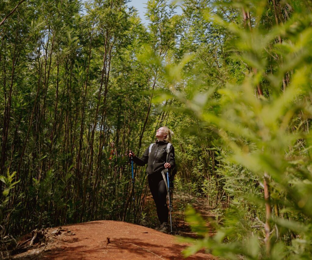 Planten op Madeira - Flora op Madeira - Flora in Madeira - Flora op Madeira