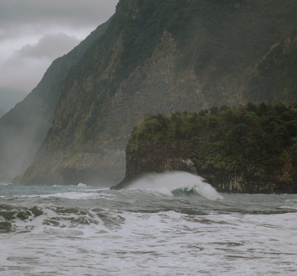 Madeira Insel - Île de Madère - Madeira Island - Madeira-eiland
