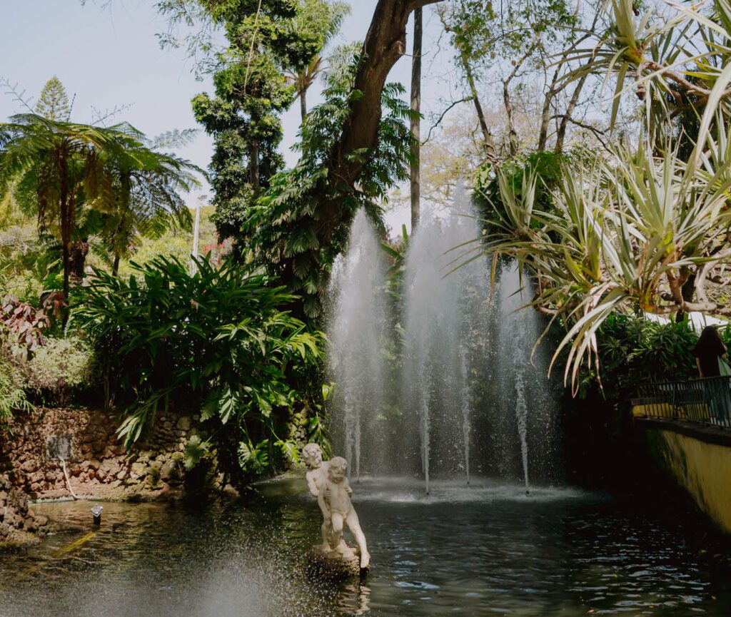 Jardin botanique Funchal - Botanische tuin Funchal - Botanical garden Funchal - Stadtpark Funchal