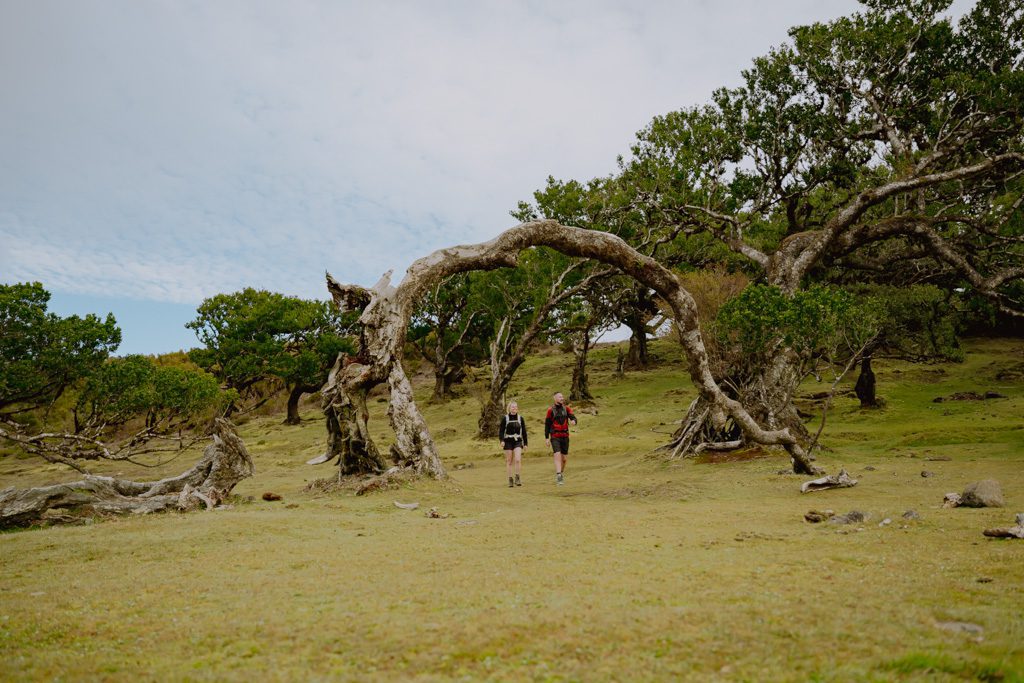 Wandern Madeira