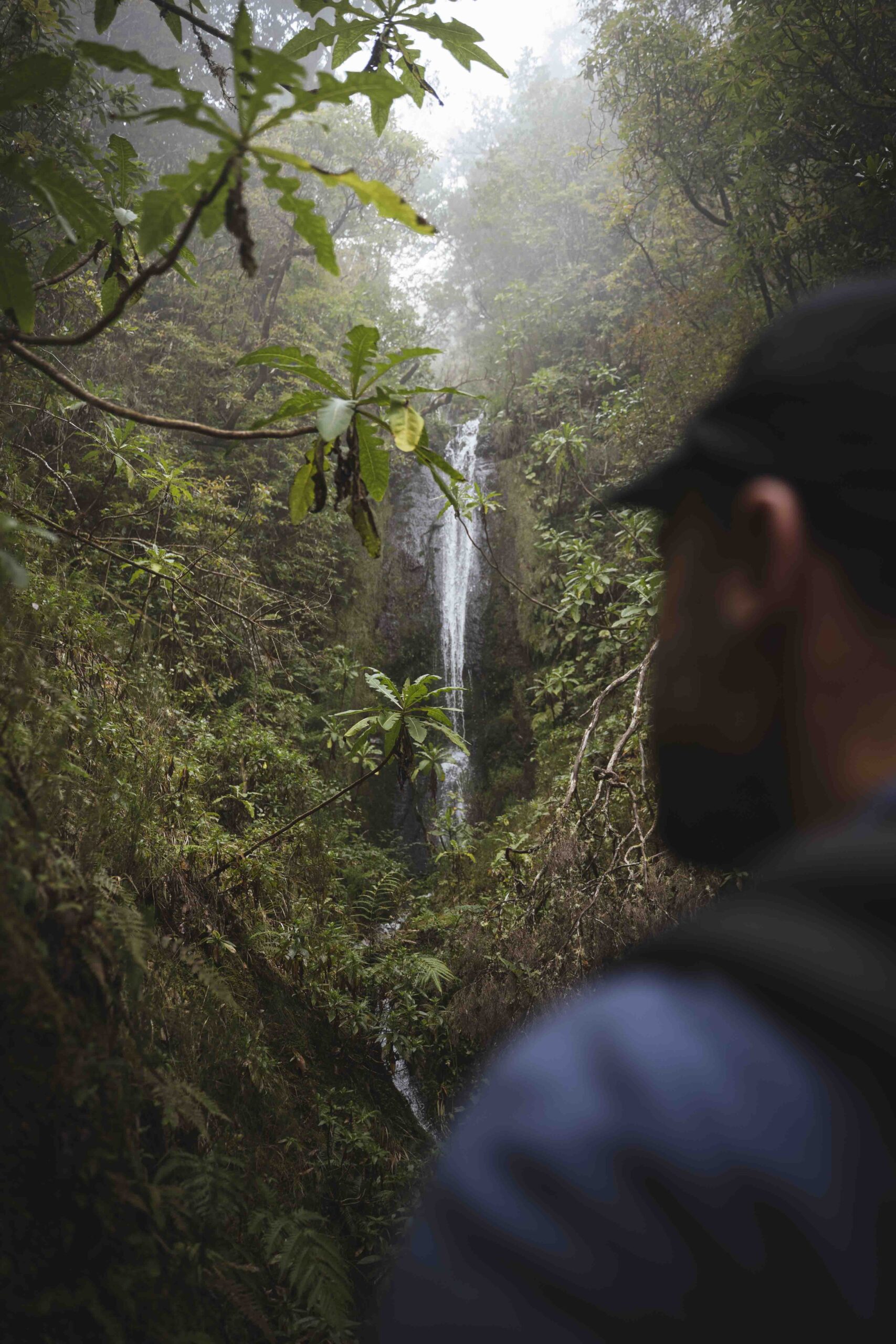 hikes in madeira